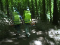 wallfahrt 2023 32 von 111